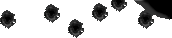 Bullet Holes